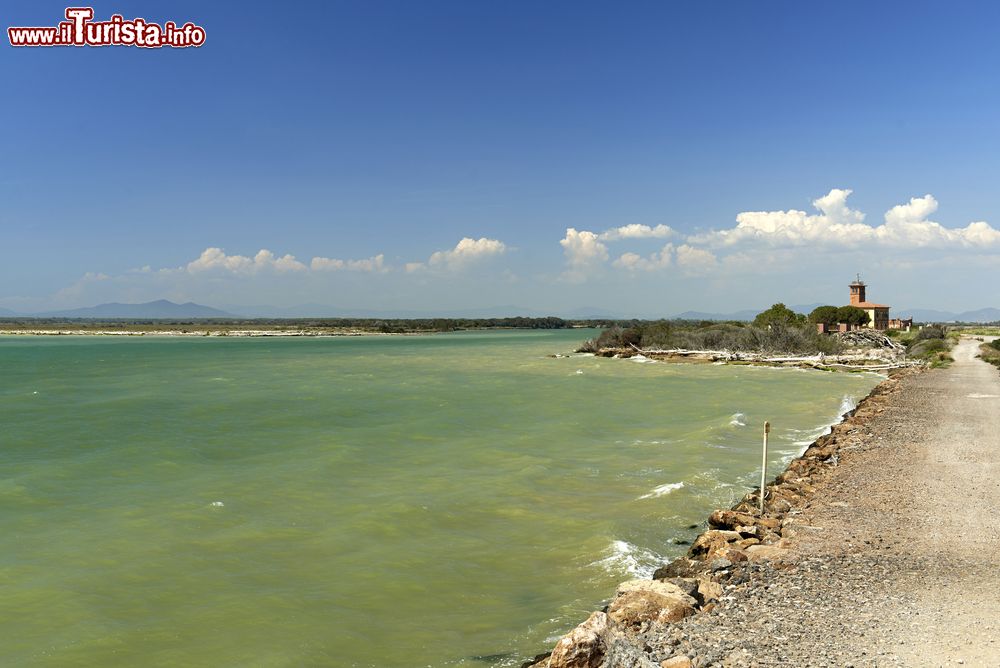 Immagine La foce del fiume Ombrone a Marina di Alberese  in provincia di Grosseto