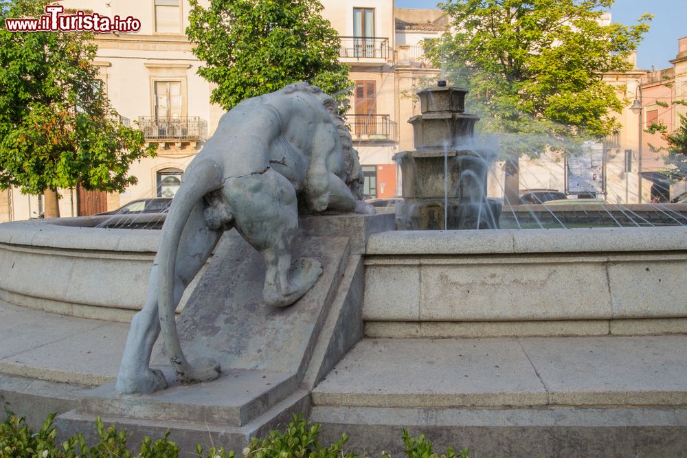 Immagine La Fontana dei Tre Leoni a Avola, Sicilia. Collocata in Piazza Vittorio Veneto, la fontana è stata progetatta, costruita e scolpita agli inizi del '900 dallo scultore di Avola Antonino Mangiagli. E' realizzata in pietra lavica e raffigura tre leoni che si dissetano.