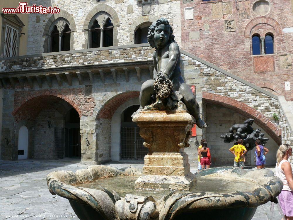 Immagine La Fontana del Bacchino di Prato vicino al Palazzo Pretorio, Toscana. Realizzata tra il 1659 e il 1665, questa fontana è opera dello scultore Ferdinando Tacca: la scultura bronzea ritrae un giovane Bacco seduto attorno a grappoli d'uva  - © Radim Strobl / Shutterstock.com: