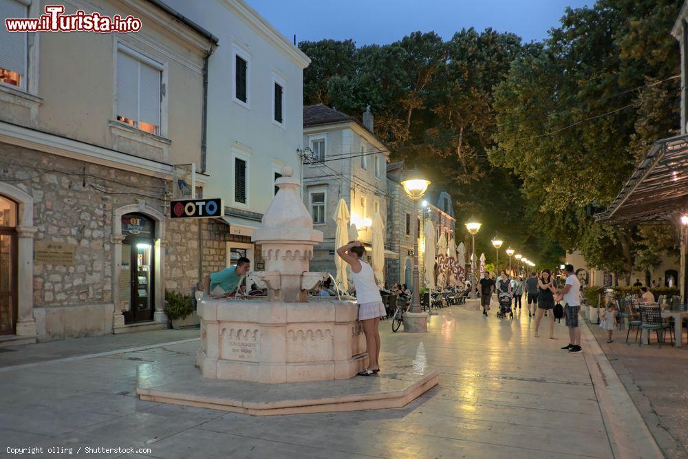 Immagine La fontana di acqua potabile di Goiko Shishkovich nella zona pedonale di Trebinje (Bosnia Erzegovina) al crepuscolo - © ollirg / Shutterstock.com