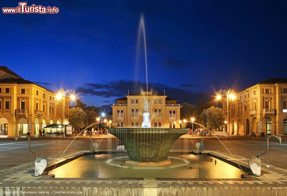 Immagine La fontana di Piazza dei Caduti, Mogliano Veneto, by night - © Shevchenko Andrey / Shutterstock.com