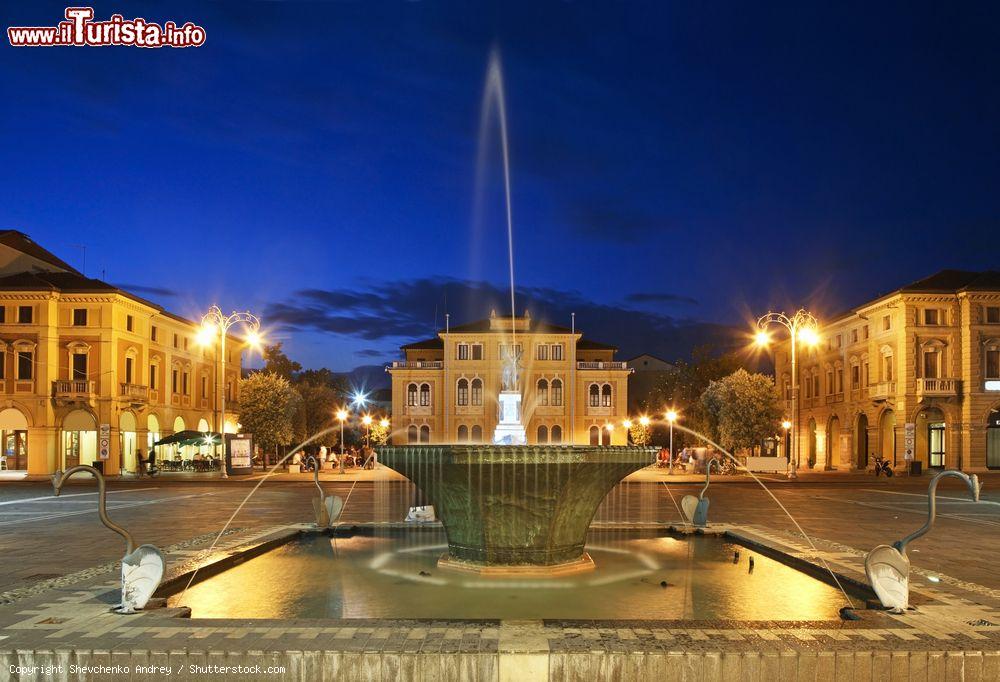 Le foto di cosa vedere e visitare a Mogliano Veneto