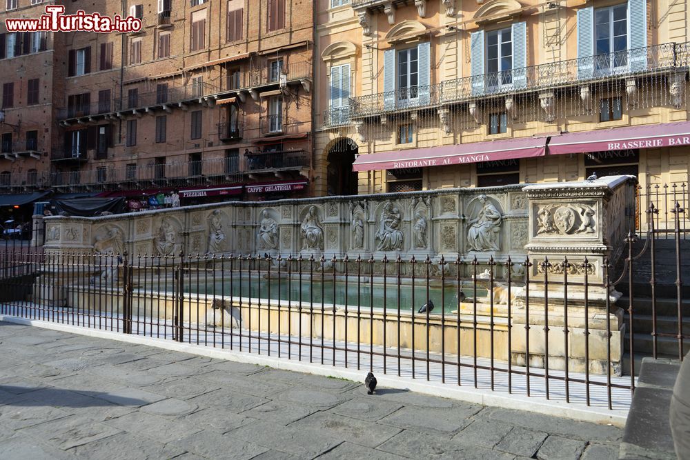 Immagine La Fontana Gaia in Piazza del Campo a Siena