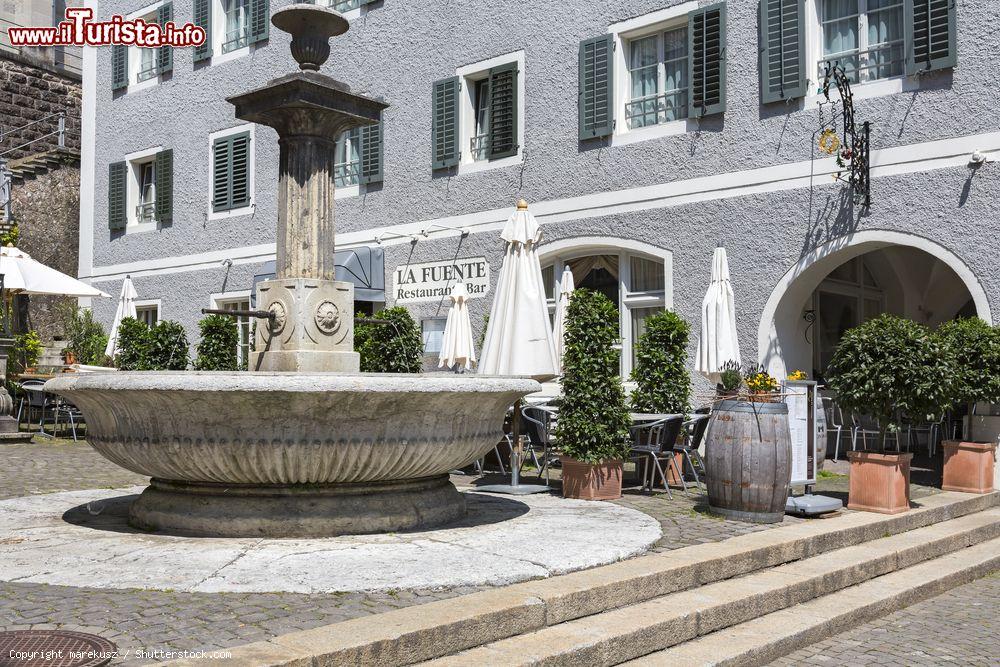 Immagine La fontana in una piazza del centro storico di Rapperswil-Jona, Svizzera - © marekusz / Shutterstock.com