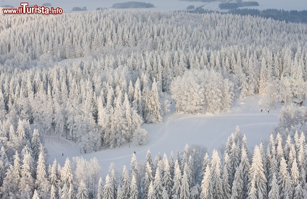 Immagine La foresta di Kuopio vista dall'alto con la neve e gli sciatori, Finlandia. Circa la metà dell'estensione della cittadina è occupata da foreste e acqua. In inverno le nevicate sono molto abbondanti e il paesaggio viene ricoperto da un candido manto innevato.