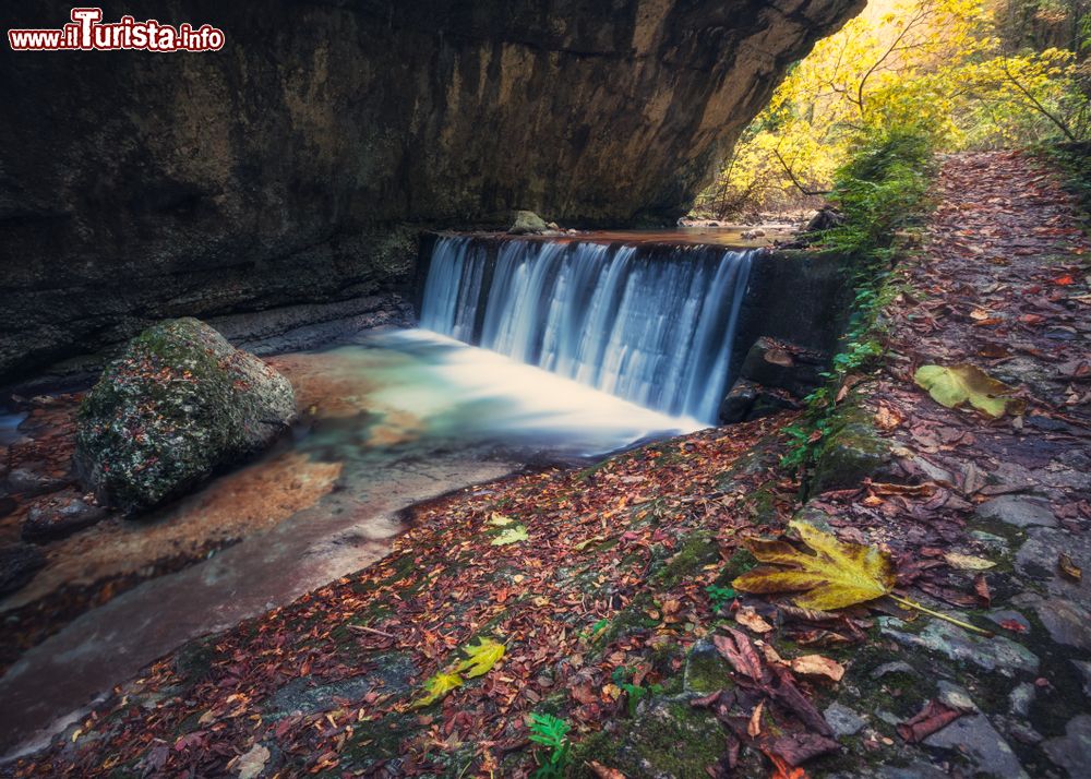 Immagine La foresta incantata in autunno nella valle dell'Orfento, Caramanico Terme, Abruzzo. Istituita nel 1971, questa riserva naturale protetta si trova in provincia di Pescara. A conferirle il nome è il fiume Orfento che dalle vette principali della Majella scende sino all'abitato di Caramanico Terme.