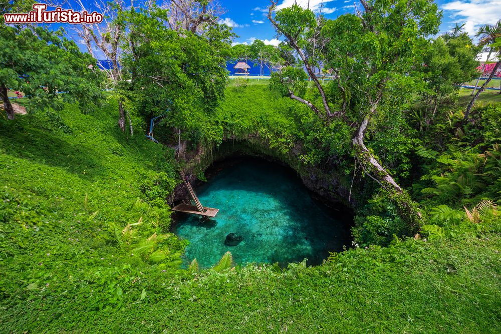 Immagine La fossa oceanica To Sua a Upolu, Samoa, Pacifico del Sud. Incastonata nella foresta, questa buca in pietra calcarea racchiude una piscina naturale raggiungibile solo con una scaletta lunga trenta metri. Siamo sull'isola vulcanica di Opolu.