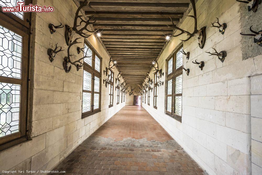 Immagine Il Museo della Caccia, nel secondo piano del palazzo, ospita la galleria con i trofei di caccia al Castello di Chambord (Loir-et-Cher, Francia) - © Yuri Turkov / Shutterstock.com