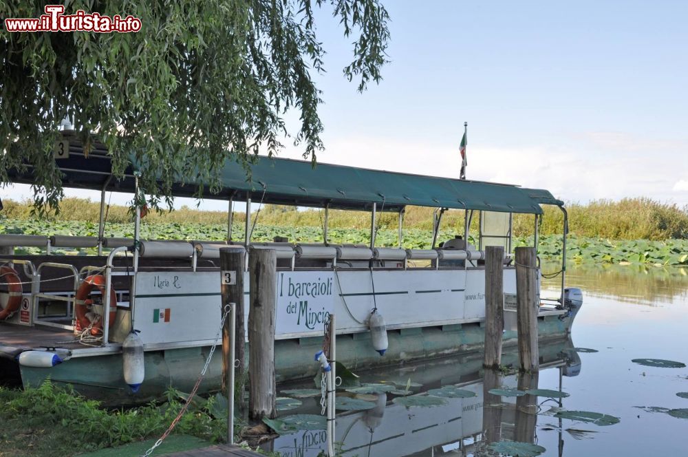 Immagine La gita con i Barcaioli del Mincio sul Lago Superiore a Mantova, Lombardia.