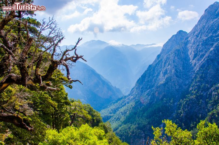 Immagine La gola di Samaria, uno dei trekking più famosi di Creta