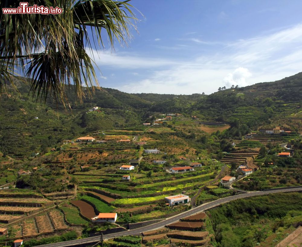Immagine La Gomera, Canarie: una vista dell'entroterra, con le coltivazioni a terrazzamenti.