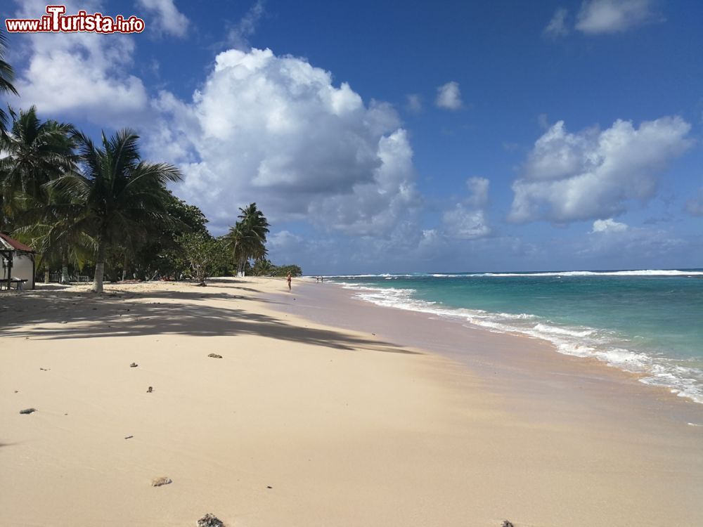 Immagine La grande spiagge di Grande terre a Guadalupa: plage de la Chapelle