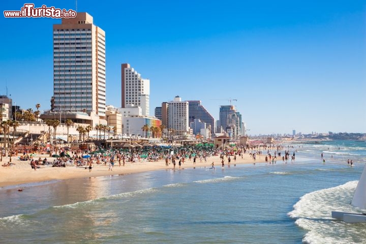 Immagine La grande spiaggia di Tel Aviv (Israele). Il nome della città, in lingua originale, significa "collina della primavera", ma certi panorami fanno venire una gran voglia dell'estate, che a Tel Aviv riserva belle sorprese: 14 km di costa sabbiosa e fondali bassi, acqua limpidissima e locali per divertirsi a ogni ora del giorno e della notte - © Aleksandar Todorovic / Shutterstock.com