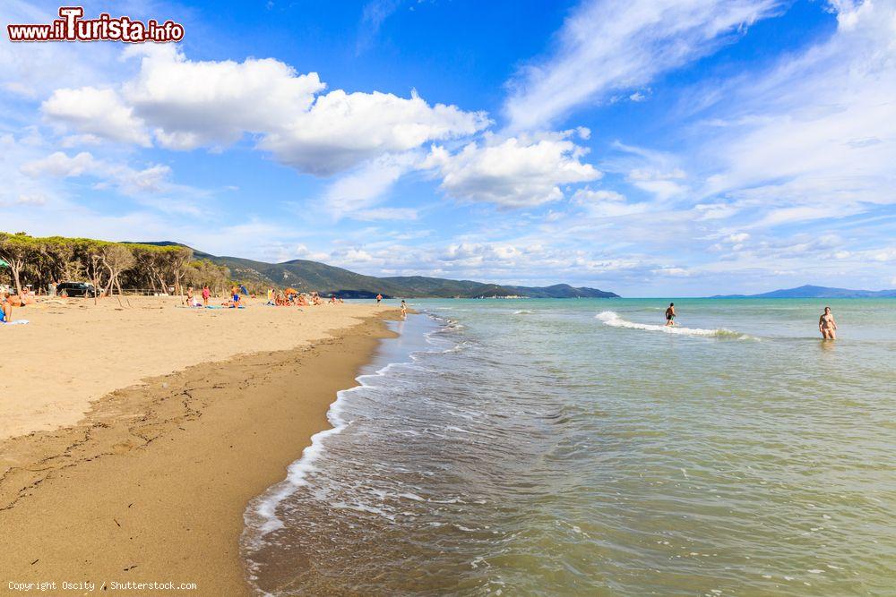 Immagine La grande spiaggia a Marina di Alberese di Grosseto in Toscana - © Oscity / Shutterstock.com