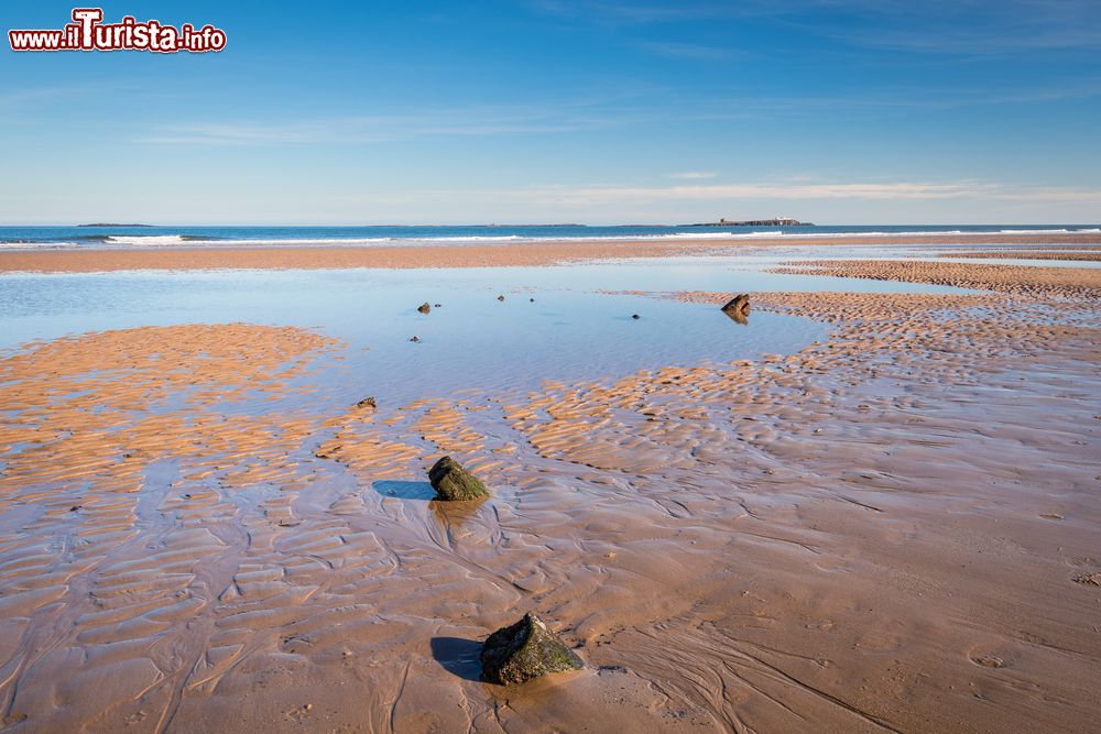 Immagine La grande spiaggia di Bamburgh con la bassa marea, Inghilterra nord orientale