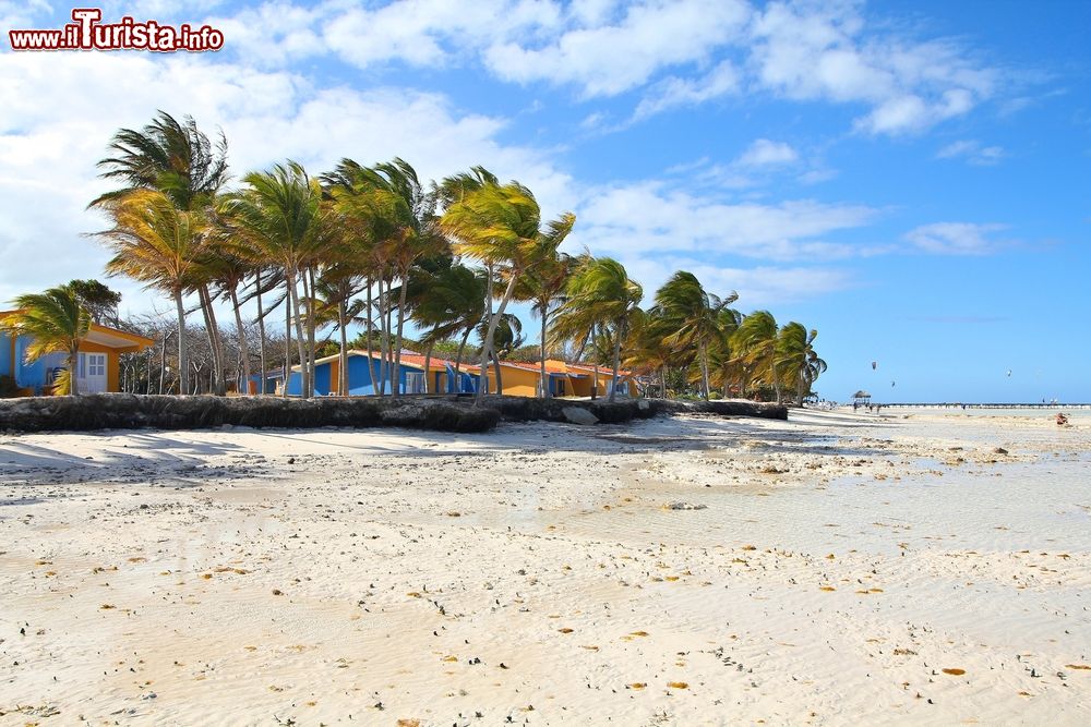 Immagine La grande spiaggia di Cayo Guillermo, nell'arcipelago di Jardines del Rey (Cuba). L'isola conta oltre 5 km di spiaggia bianca.