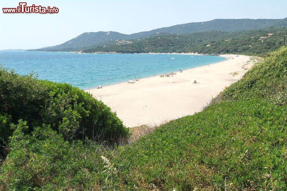 Immagine La grande spiaggia di Olmeto in Corsica occidentale, a nord di Propiano