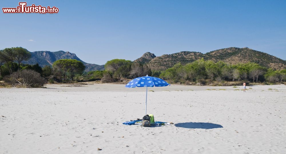 Immagine La grande spiaggia di Sa Curcurica si trova sulla costa a nord di Orosei, in Sardegna