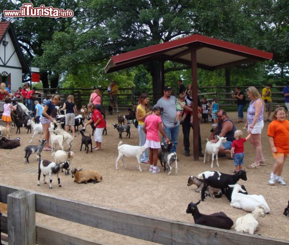 Immagine La Grants Farm di Saint Louis Missouri, adatta alle famiglie con bimbi piccoli - © Missouri Division of Tourism