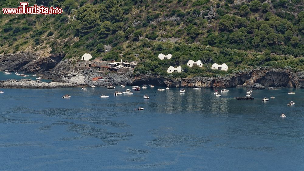 Immagine La grotta del Leone e le barche in attesa di entrarvi, isola di Dino, Praia a Mare