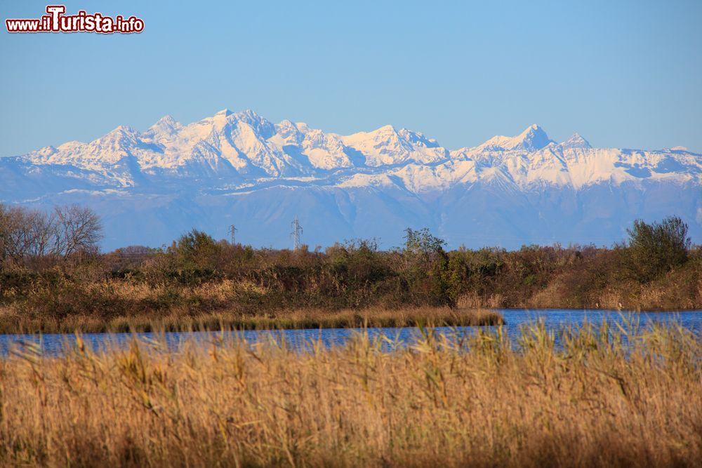 Immagine La Laguna di Marano vicino a Latisana: la riesrva di Valle canal Novo