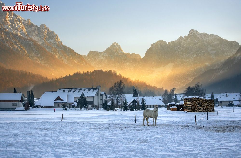 Le foto di cosa vedere e visitare a Kranjska Gora