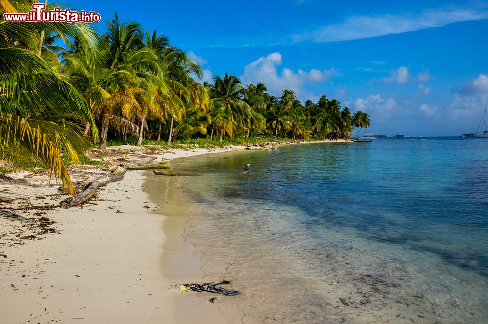 Immagine La lunga spiaggia di San Blas, Panama. Questo territorio si trova nel mare dei Caraibi fra Panama e Colombia.