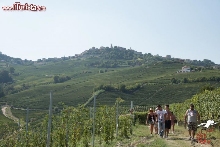 Immagine La Mangialonga, la passeggiata enogastronomica a La Morra, Cuneo, Piemonte. Una bella immagine di questa camminata non competitiva che attraversa le colline e i vigneti di La Morra, un appuntamento da non perdere anche per degustare i prodotti tipici della cucina di Langa con i vini più pregiati