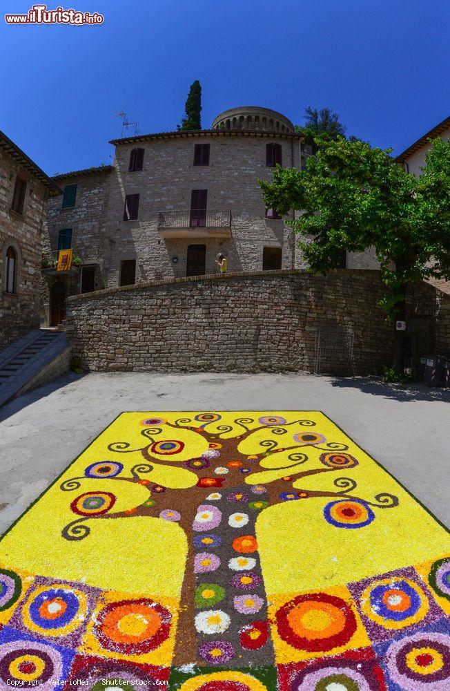 Immagine La manifestazione "Le Infiorate di Spello", Umbria. Si svolge ogni anno nella piccola città umbra in occasione della festa cattolica del Corpus Domini. Vengono preparati tappeti fatti con i fiori o con parti di essi e rappresentano motivi ornamentali liturgici - © ValerioMei / Shutterstock.com