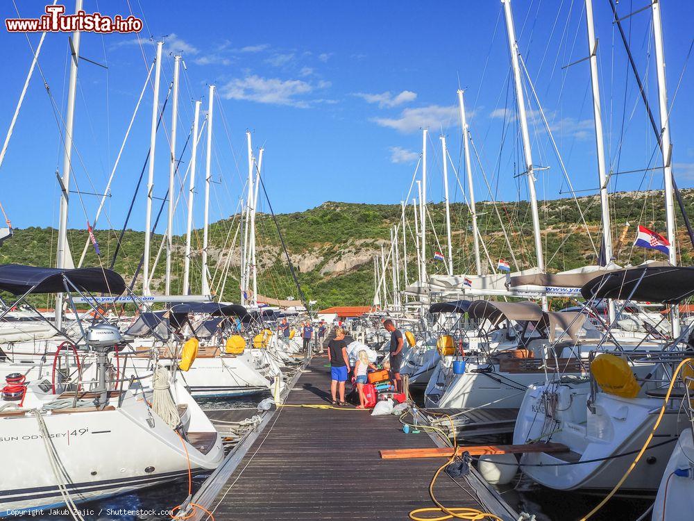 Immagine La marina della città dalmata di Primosten con yachts ormeggiati, Croazia - © Jakub Zajic / Shutterstock.com