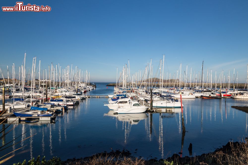 Immagine La marina di Howth, un piccolo villaggio della costa est dell'Irlanda