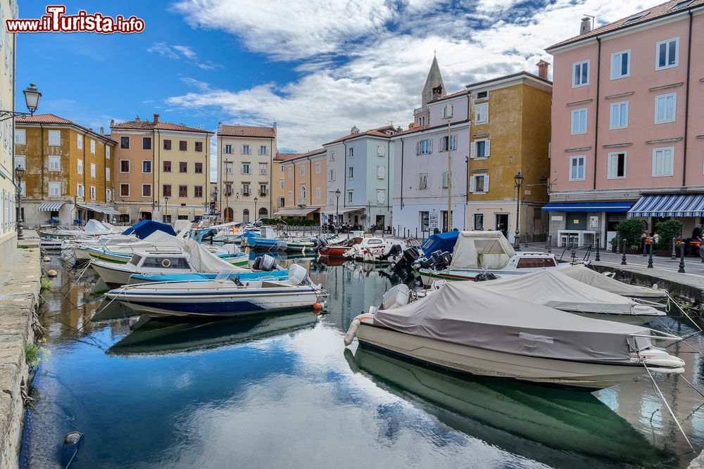 Immagine La marina di Muggia con le barche ormeggiate, Friuli Venezia Giulia. E' il Comune più a sud della regione, all'estremità settentrionale della penisola istriana.