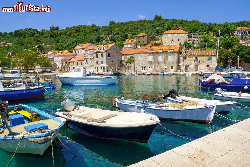Immagine La marina di San Giorgio, Sudurad in croato, isola di Sipan in Dalmazia