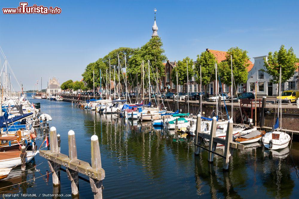 Immagine La marina di Veere con barche ormeggiate sull'isola Walcheren nella regione di Zeeland, Paesi Bassi - © TasfotoNL / Shutterstock.com