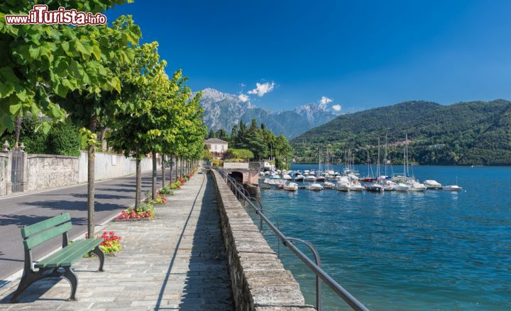 Immagine La marina e la passeggiata sulle rive del Lago di Como a Tremezzo  - © Rene Hartmann / Shutterstock.com