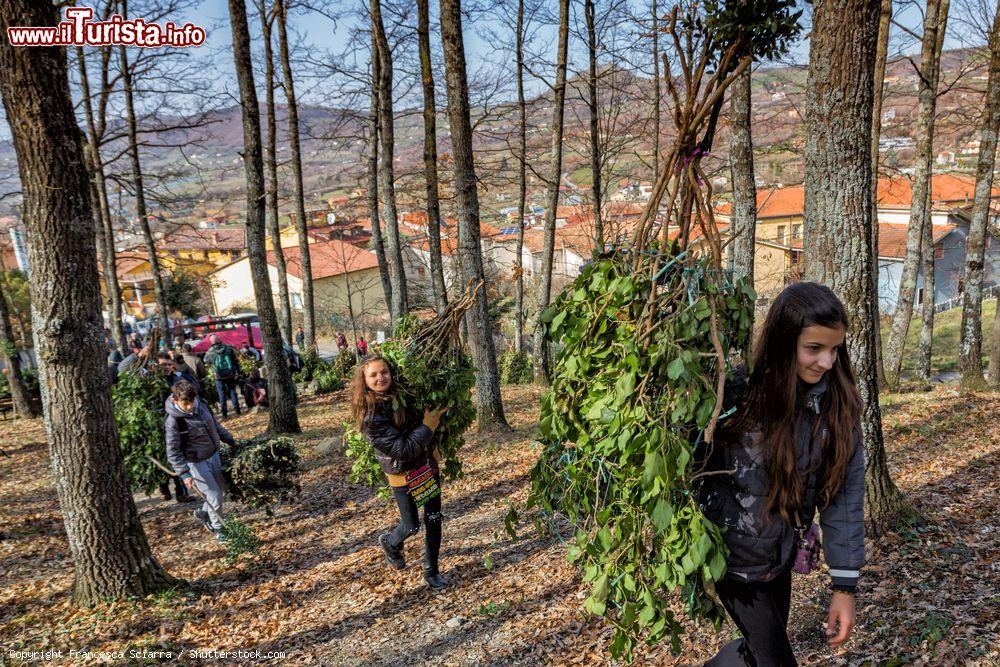 Immagine La maschera del Rumit, uomo albero al Carnevale di Satriano di Lucania in Basilicata - © Francesca Sciarra / Shutterstock.com