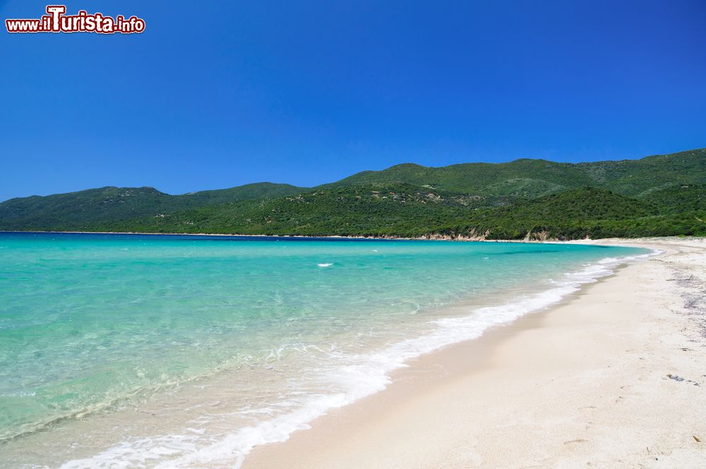 Immagine La meravigliosa spiaggia di Cupabia con sabbie bainche e acque turchesi, in Corsica