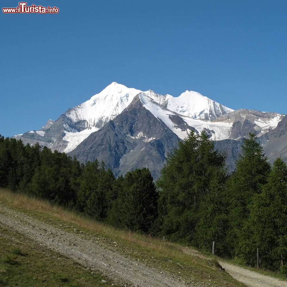 Immagine La montagna del Weisshorn in estate, fotografata da Grachen in Svizzera