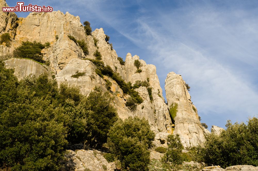 Immagine La Montagna di San Giovanni a Orgosolo in Sardegna