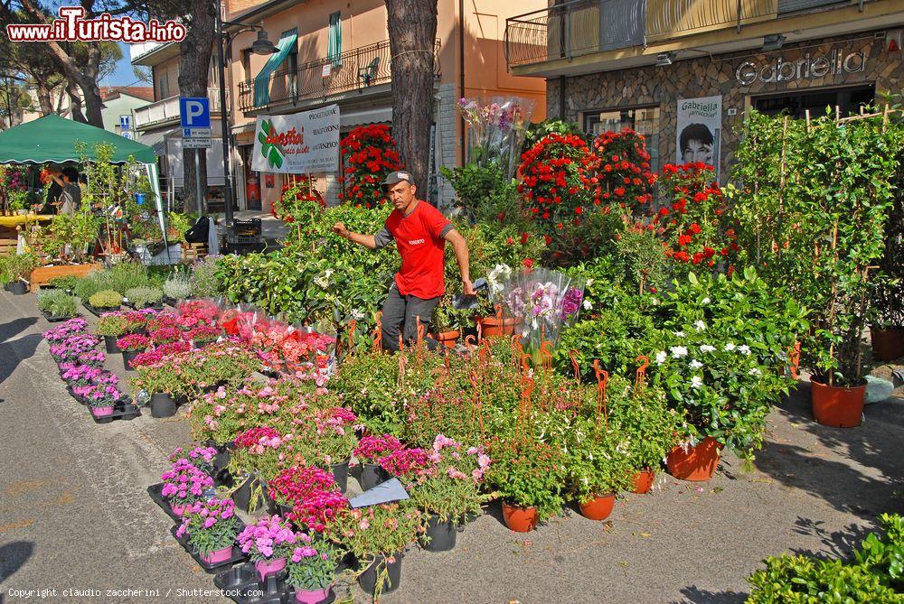 Immagine La mostra mercato dei fiori a Punta Marina sulla riviera romagnola - © claudio zaccherini / Shutterstock.com