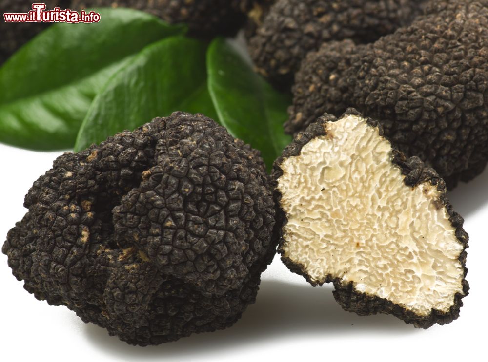 Immagine La Mostra Mercato Nazionale del Tartufo Nero pregiato di Norcia