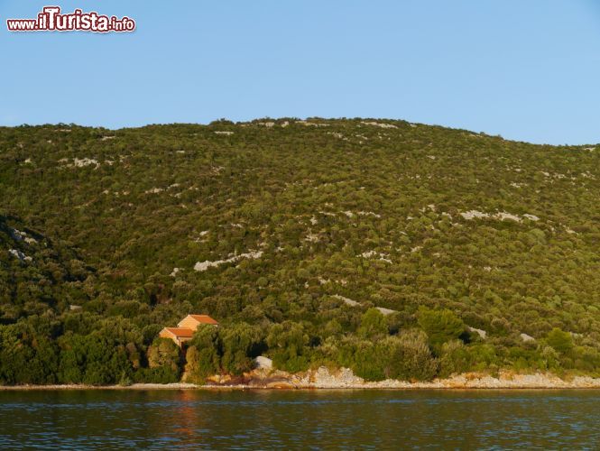 Immagine La natura selvaggia della baia di Soline, isola di Pasman, Croazia