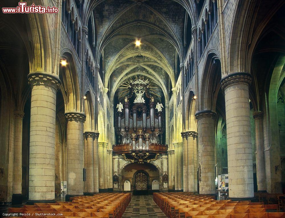 Immagine La navata della basilica gotica di Nostra Signora a Tongeren (Belgio) - © Pecold / Shutterstock.com
