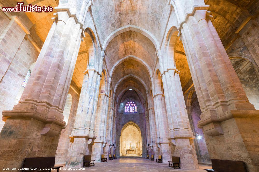 Immagine La navata dell'abbazia di Fontfroide a Narbona, Francia - © Joaquin Ossorio Castillo / Shutterstock.com