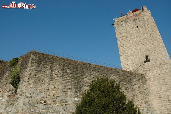 Immagine La torre del Castello Visconteo, gioiello storico di Trezzo sull'Adda - la torre, alta più di quaranta metri, è senza dubbio la parte meglio conservata, insieme ai sotterranei, del Castello Visconteo, l'antico maniero che fu di proprietà di diverse nobili famiglie lombarde, ma che conobbe il maggiore splendore, e allo stesso tempo le vicende più sanguinarie, sotto la proprietà di Bernabò Visconti, nel XIV secolo. 