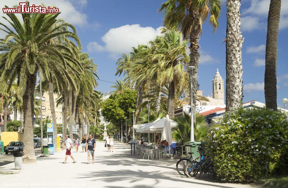 Immagine La passeggiata di Sitges fra palme e piante, Spagna - © Pilar Andreu Rovira / Shutterstock.com