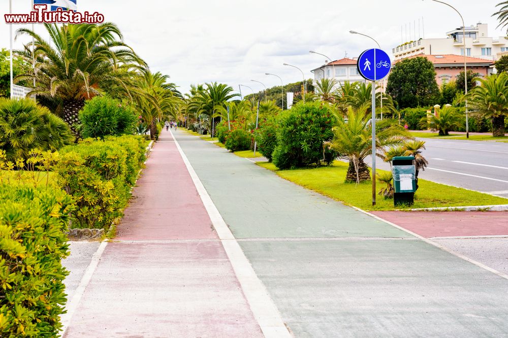Immagine La passeggiata lungomare di Forte dei Marmi, Toscana. Alberi e cespugli abbelliscono la pista ciclabile e l'area dedicata ai pedoni.