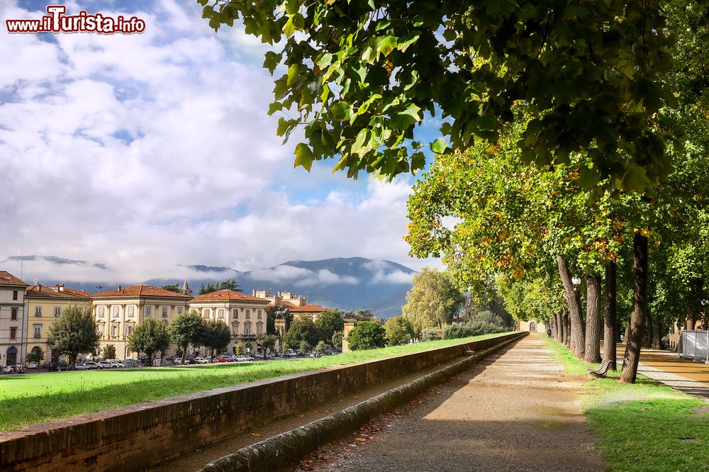 Immagine La passeggiata sulle mura di Lucca con vista panoramica sul centro storico della città della Toscana