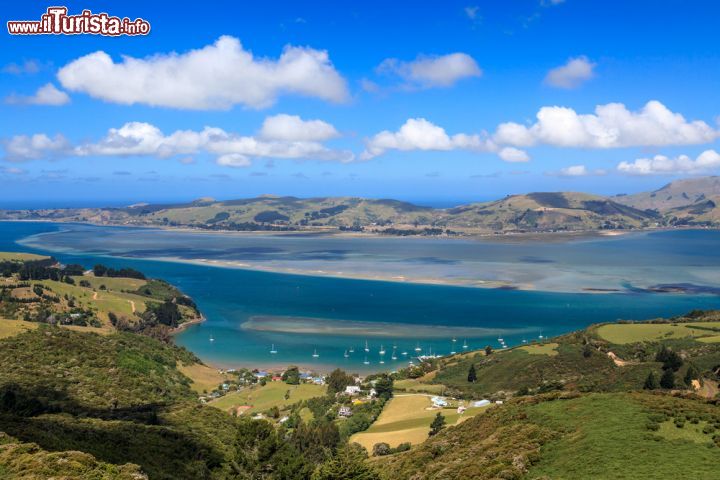 Immagine La penisola di Otago nell'Isola del Sud vicino a Dunedin in Nuova Zelanda. Questo splendido promontorio nelle vicinanze di Dunedin ospita meraviglie paesaggistiche e anche l'Albatross reale - © loneroc / Shutterstock.com