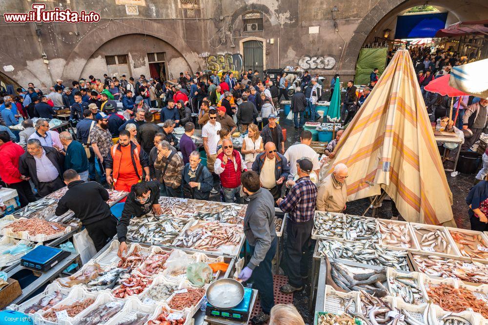 Immagine La Pescheria, lo storico mercato del pesce di Catania, Sicilia orientale. - © javarman / Shutterstock.com